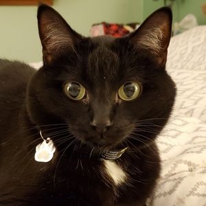 Meet your Posher, Jeanne